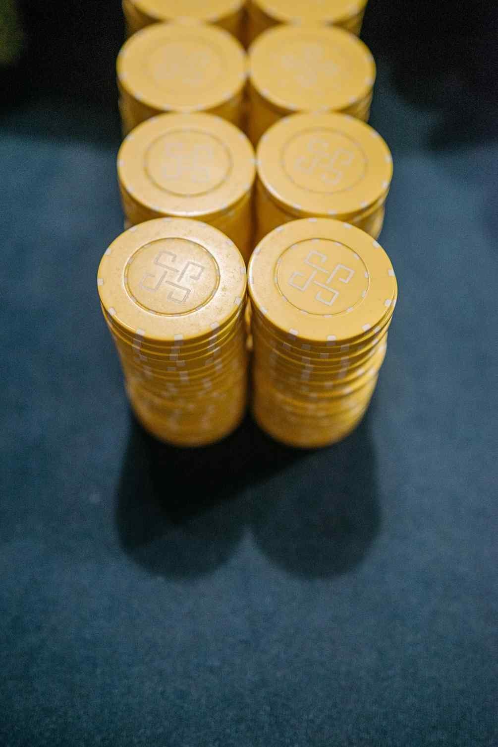 cat casino